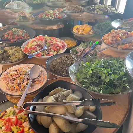 酒店 Altinsaray 库萨达斯