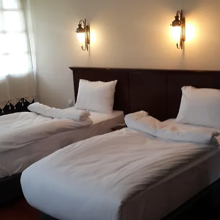 Hotel Altinsaray 3*